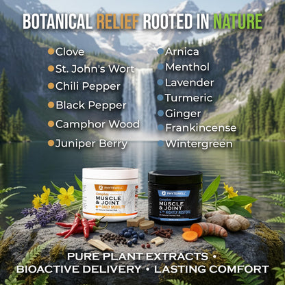 PHYTEWELL Muscle & Joint Rub Balm - Day & Night Pain Relief for Back, Knee, & Shoulder - Crafted with Arnica, Clove & Black Pepper to Support Recovery & Relaxation – Premium Non-Greasy Texture - Maple Wellness Supplements