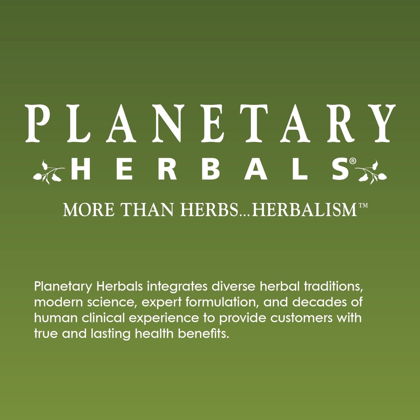 Planetary Herbals Willow Aid Tablets, 60 Count - Maple Wellness Supplements