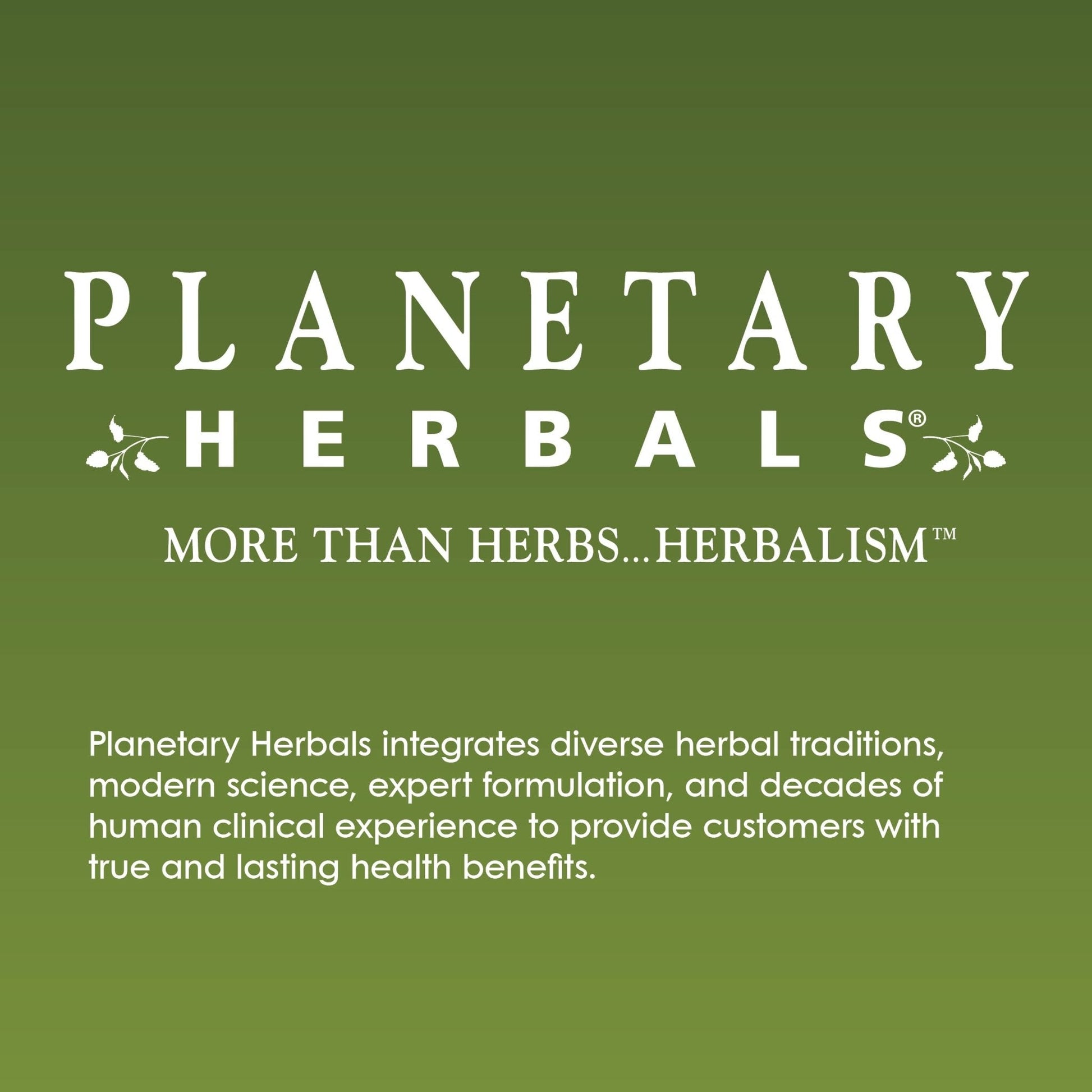 Planetary Herbals Willow Aid Tablets, 60 Count - Maple Wellness Supplements