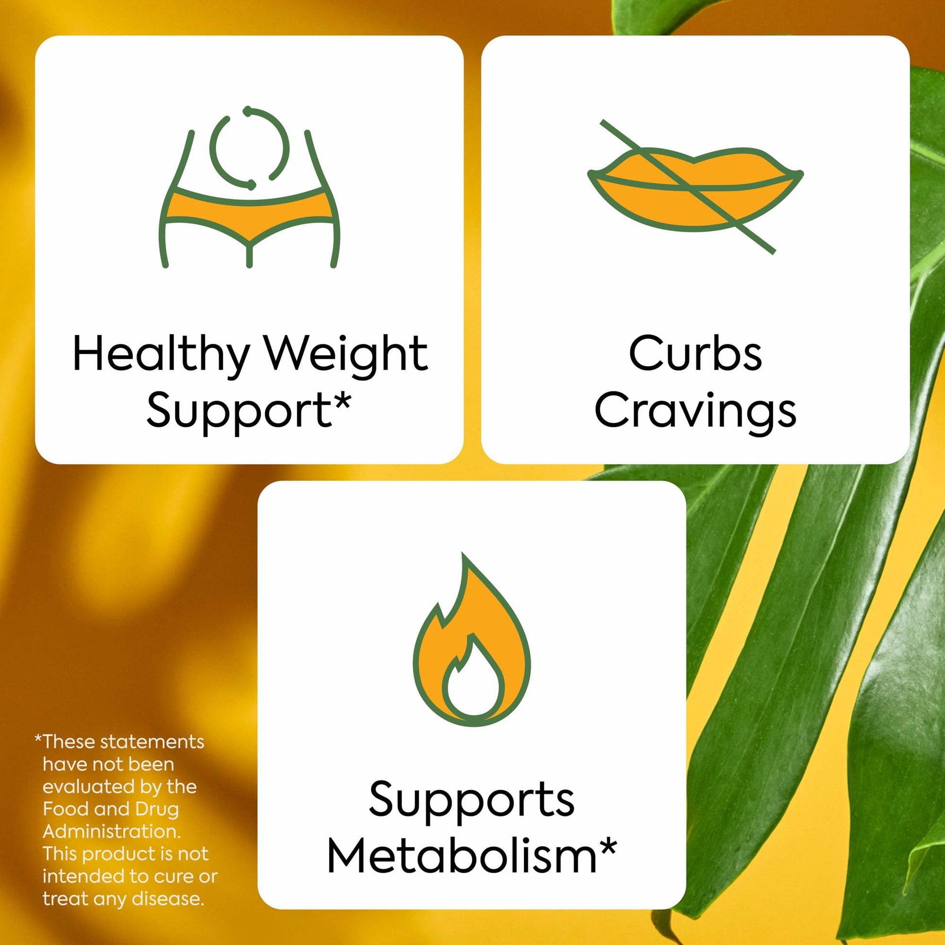 Plant People WonderBurn Metabolism & Cravings Control Gummies, Zero Sugar, Ripe Mango Flavor (60 Count) - Maple Wellness Supplements