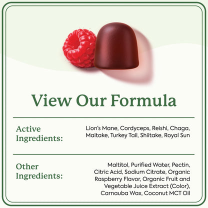 Plant People WonderDay Mushroom Gummies - Lion’s Mane, Cordyceps, Chaga Mushroom Supplement to Support Immune System De-Stress Boost Mood & Energy in Adults Natural - Maple Wellness Supplements