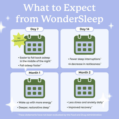 Plant People WonderSleep Mushroom Gummies Supplement for Sleep, No Melatonin with Reishi Super Mushrooms, Wild Elderberry Flavor, Sugar-Free (60 Count) - Maple Wellness Supplements