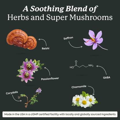 Plant People WonderSleep Mushroom Gummies Supplement for Sleep, No Melatonin with Reishi Super Mushrooms, Wild Elderberry Flavor, Sugar-Free (60 Count) - Maple Wellness Supplements