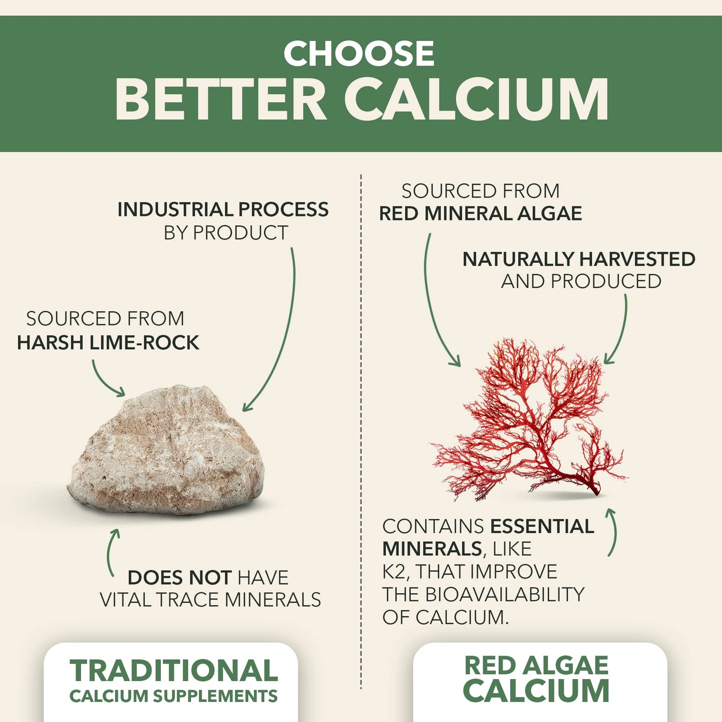 PlantFusion Vegan Calcium, Premium Plant Based Calcium (1000mg) Sourced from Icelandic Red Algae, Plus Magnesium, D3, K2 - Maple Wellness Supplements