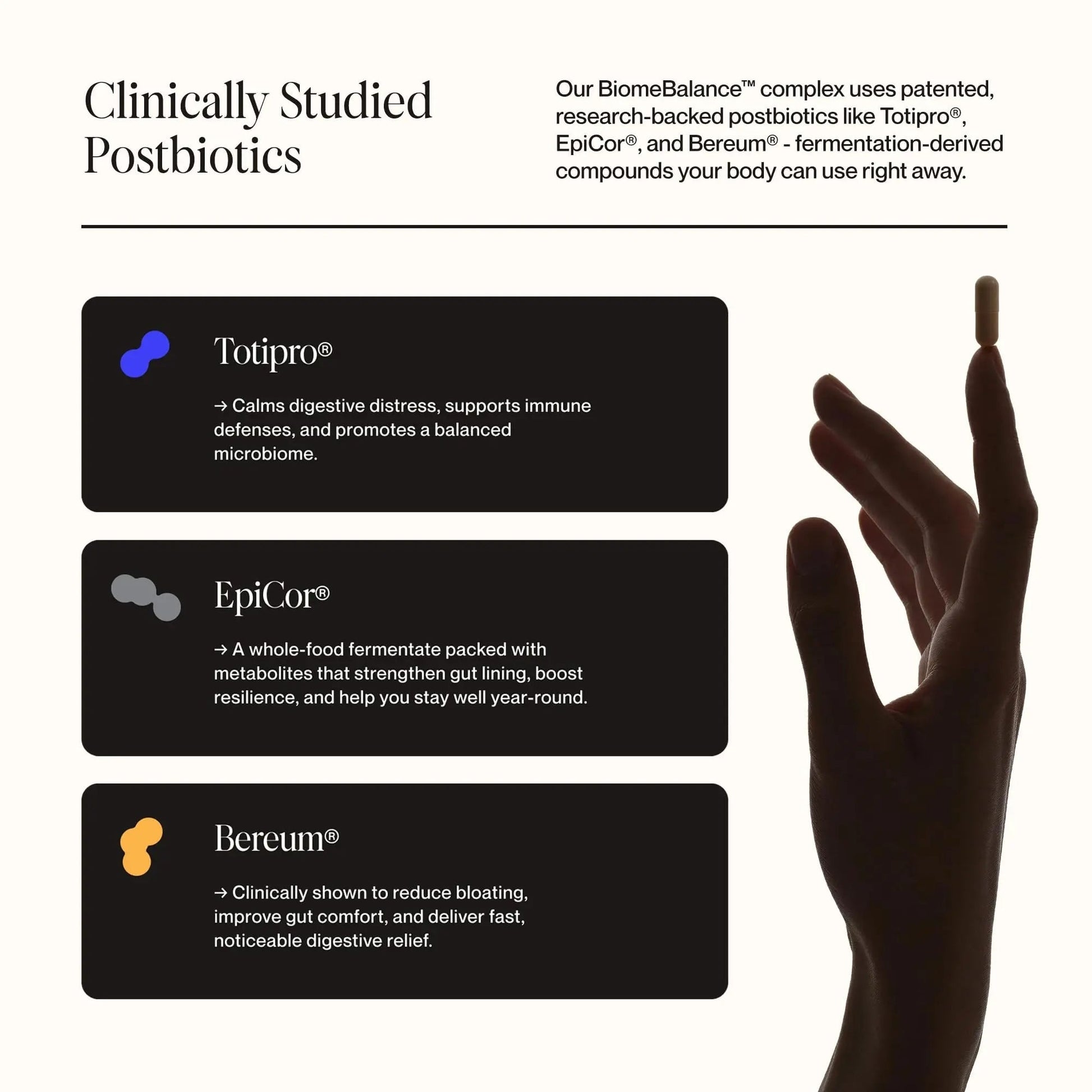 Postbiotics Gut Health Supplement – Bloating Relief, Gut, Brain & Digestive Health - Microbiome & Immune Support with BiomeBalance™ - 1000x More Active Ingredients Than Pre & Probiotics – 60 Capsules - Maple Wellness Supplements