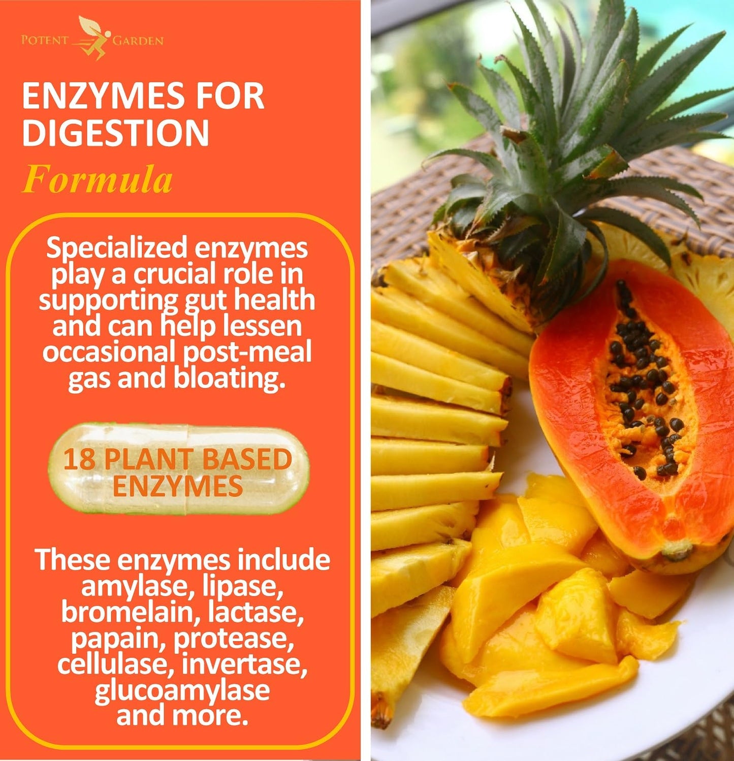 Potent Garden Digestive Enzymes -18 Plant Based Enzymes with amylase lipase bromelain Protease lactase & Other Enzymes - One Pre Meal Pill Supports Healthy - Maple Wellness Supplements
