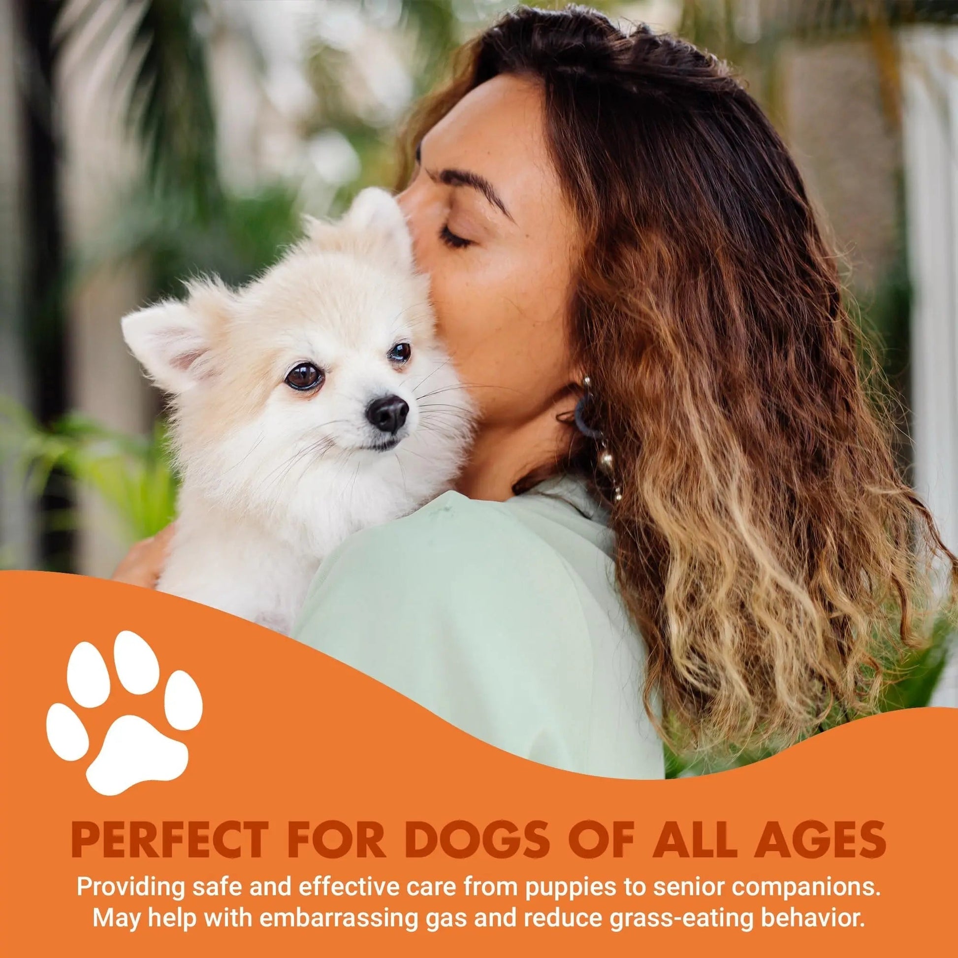 Pre & PostBiotic Support for Dogs – Digestive Upset, Stool Quality & Sensitive Stomach Support – Easy Liquid Formula for Picky Eaters - Maple Wellness Supplements
