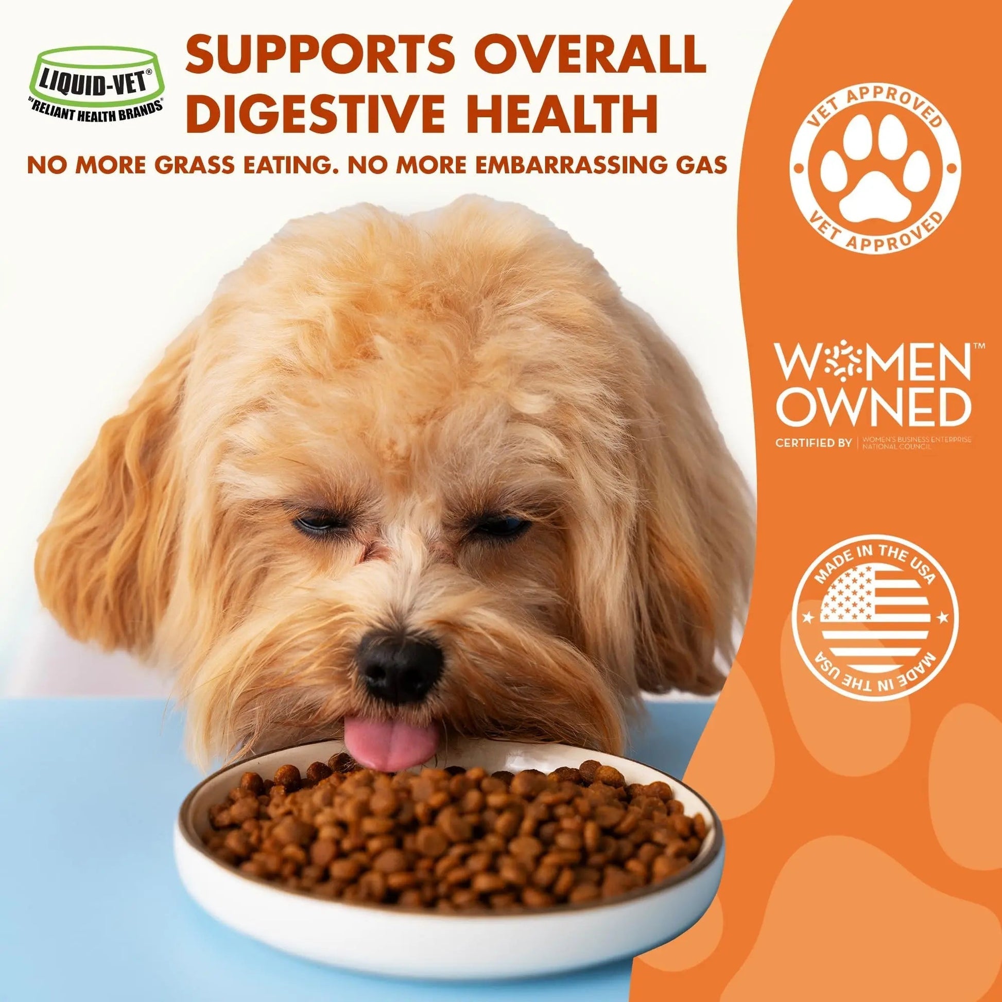 Pre & PostBiotic Support for Dogs – Digestive Upset, Stool Quality & Sensitive Stomach Support – Easy Liquid Formula for Picky Eaters - Maple Wellness Supplements