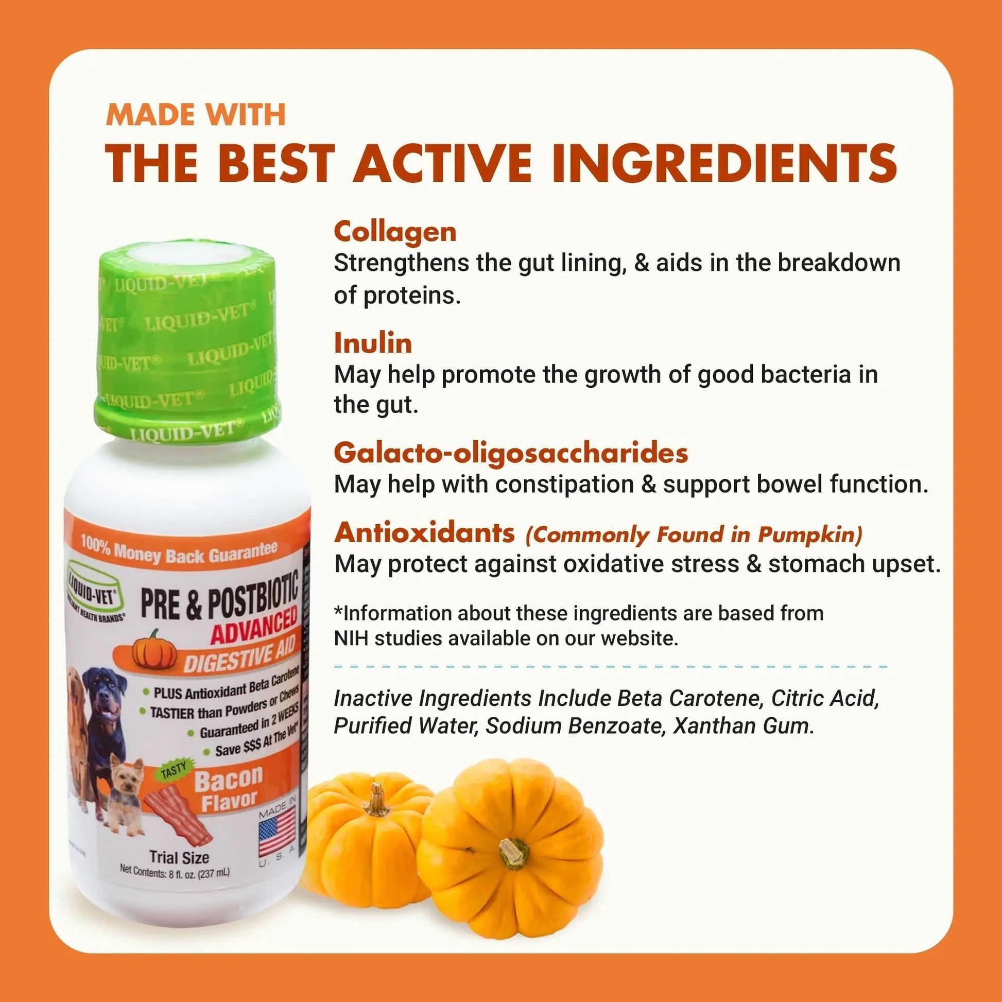 Pre & PostBiotic Support for Dogs – Digestive Upset, Stool Quality & Sensitive Stomach Support – Easy Liquid Formula for Picky Eaters - Maple Wellness Supplements