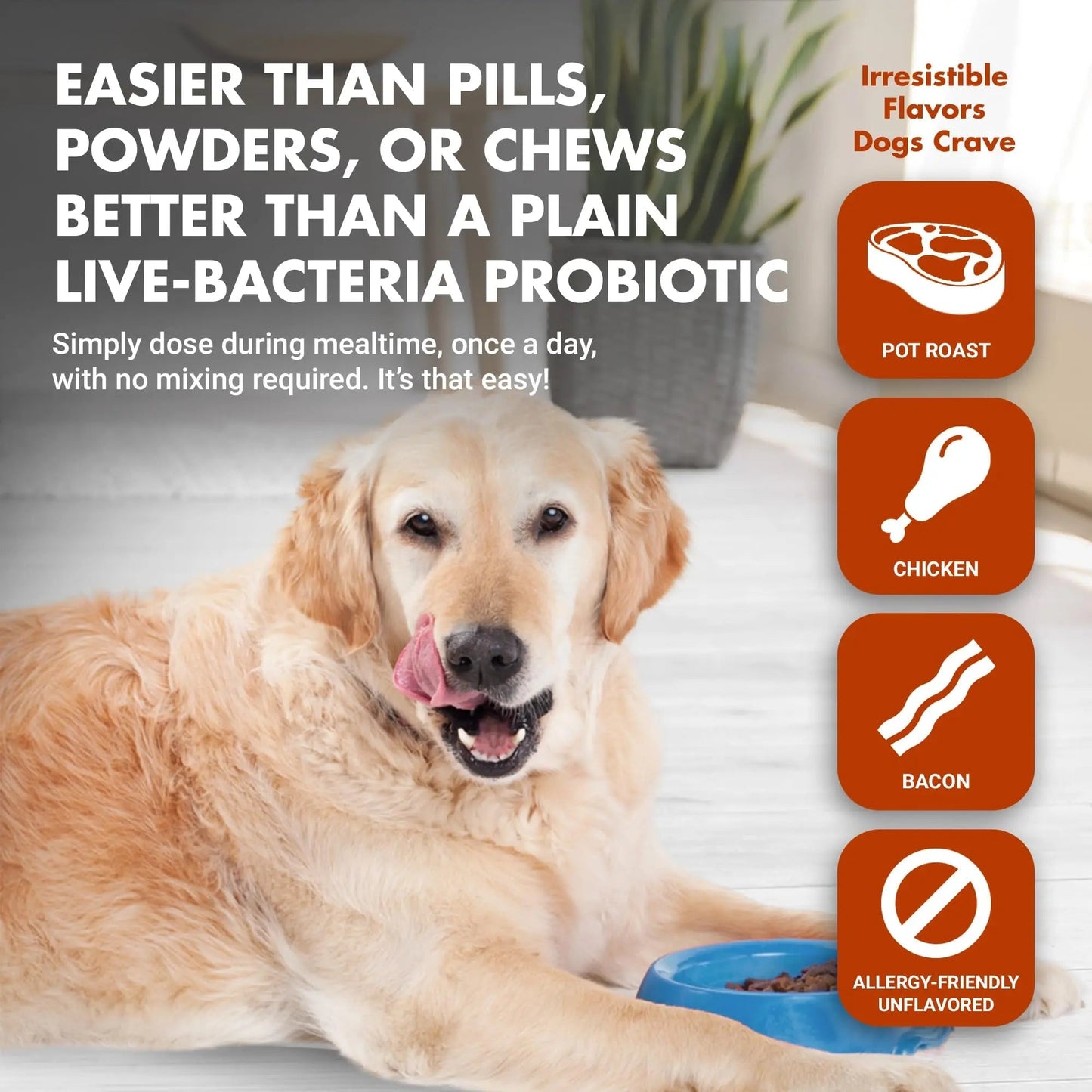 Pre & PostBiotic Support for Dogs – Digestive Upset, Stool Quality & Sensitive Stomach Support – Easy Liquid Formula for Picky Eaters - Maple Wellness Supplements