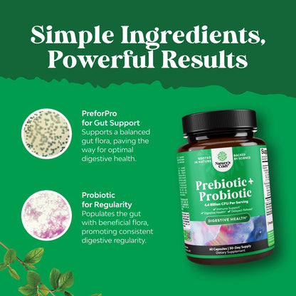 Prebiotics and Probiotics Gut Health Supplement-Super Potent Digestive Health Acidophilus Probiotic Capsules with Men & Womens Probiotics & Prebiotics - Maple Wellness Supplements