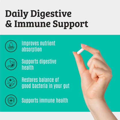 Prebiotics and Probiotics: Lactobacillus Gasseri, Lactobacillus Rhamnosus, Plantarum, Casei, Bifidobacterium longum, lactis, infantis. Probiotic Prebiotic, - Maple Wellness Supplements