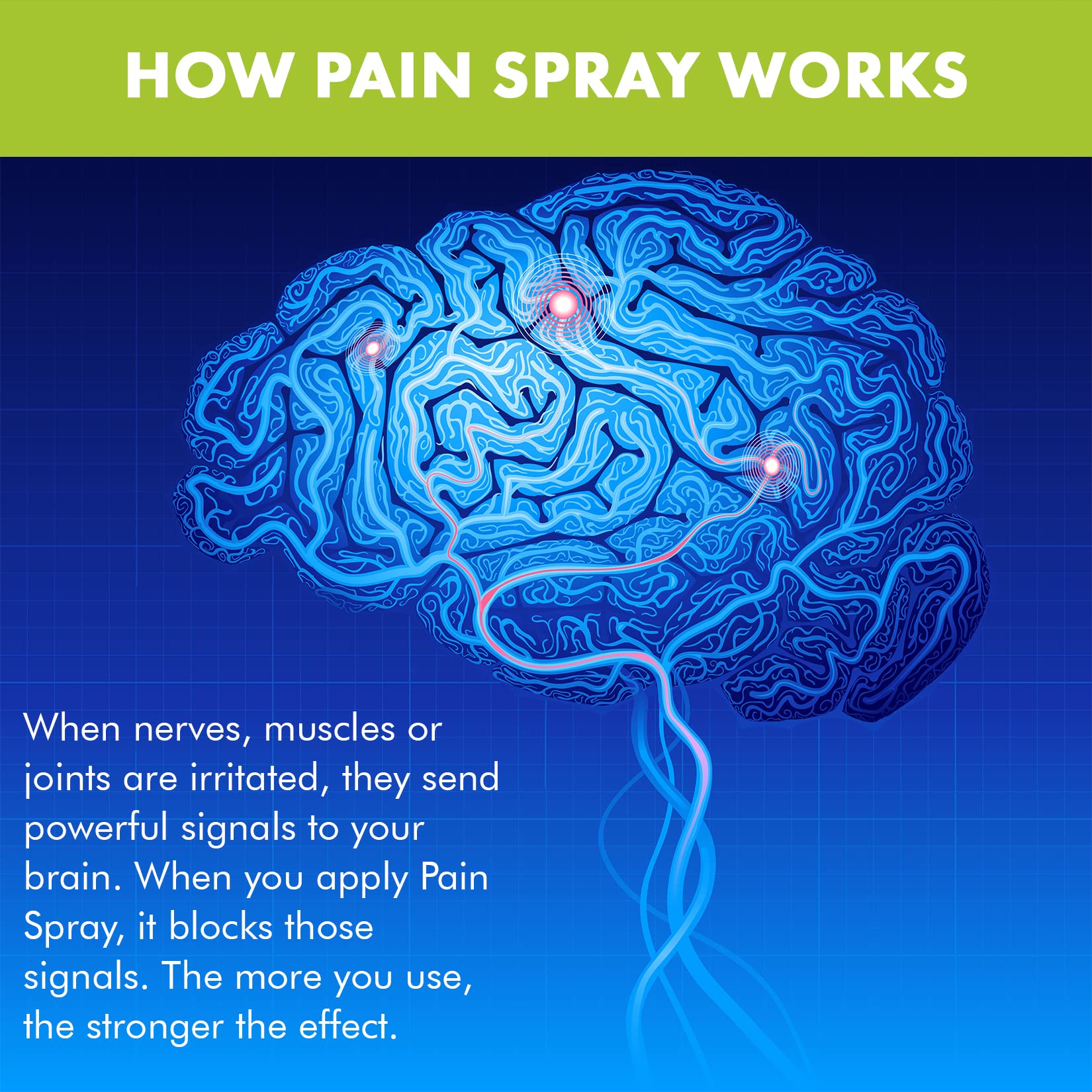 Premiere's Pain Spray All-Natural Menthol & Peppermint Roller Herbal Blend for Joint and Nerve Pain, Muscle Soreness, Sprains, Cramps, Sports Injuries, Back Pain & Neck Shoulder Aches - 3 Pack - Maple Wellness Supplements