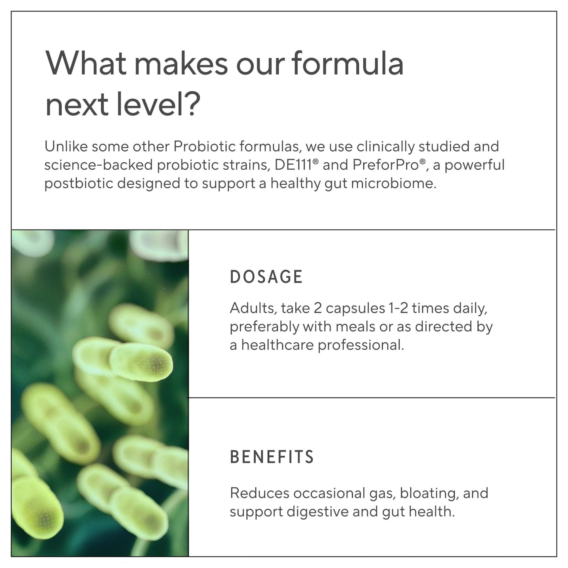 Premium 4-in-1 Probiotic Prebiotic, Postbiotic & Digestive Enzymes for Men & Women – Supports Gut, Digestion & Immunity –Complete Gut Health with Pre, Post - Maple Wellness Supplements