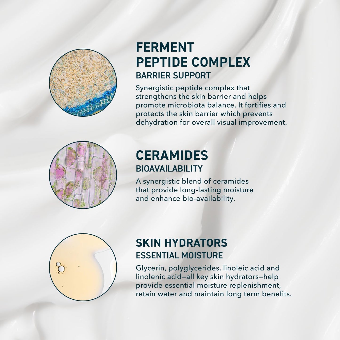 Prequel Skin AM/PM Modern Moisturizer – Hydrating Face Cream with Peptides, Ceramides - Maple Wellness Supplements
