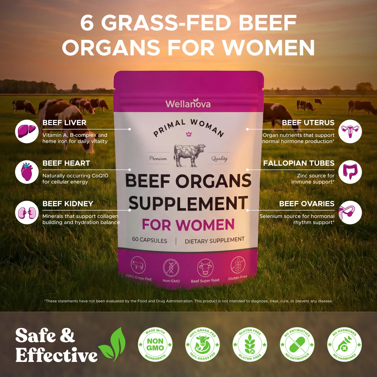 Primal Beef Organ Supplement for Women, Grass-Fed Ancestral Superfood Supplement with Uterus & Liver for Hormone Balance & Queen Energy - 60 Day Supply - Maple Wellness Supplements
