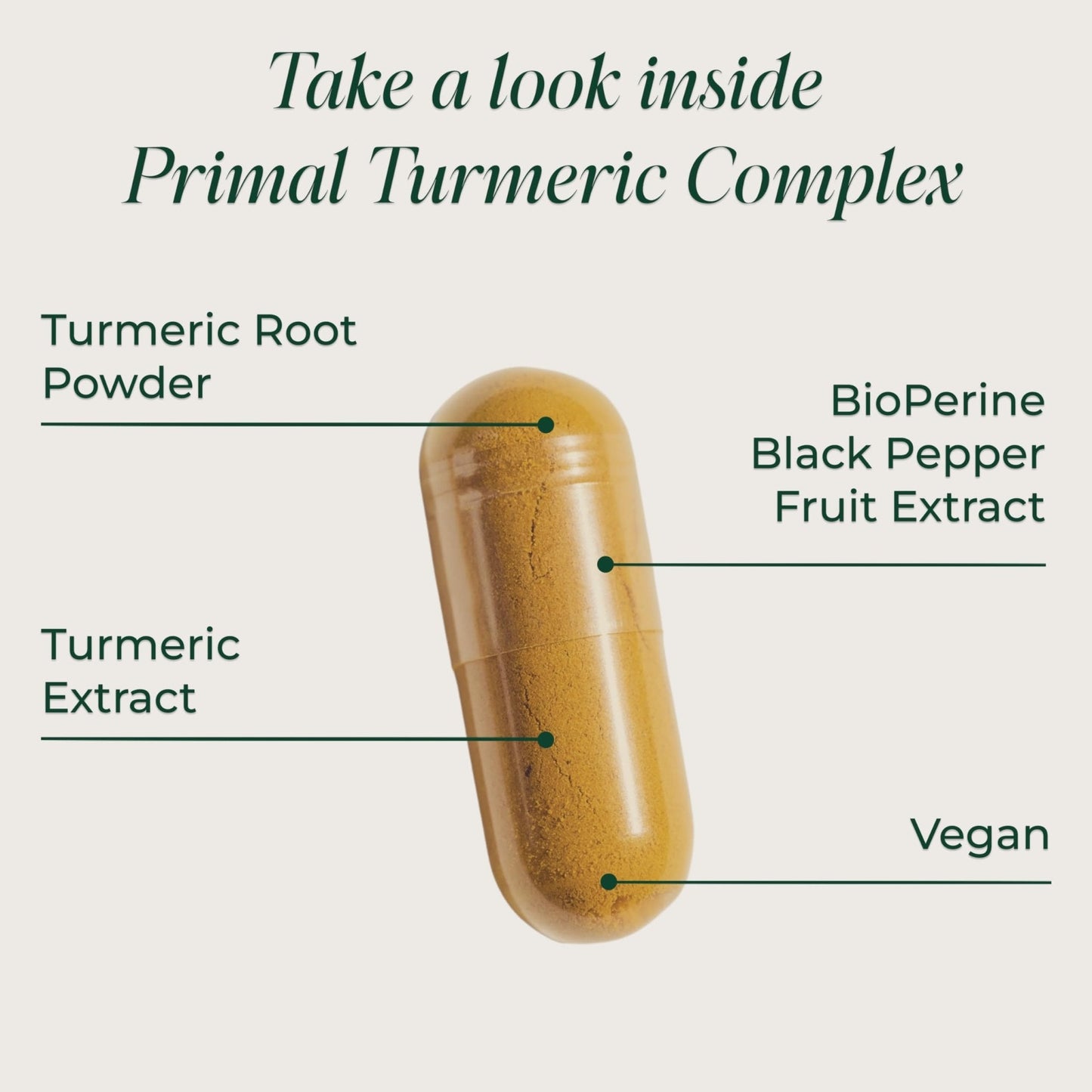 Primal Harvest 1 Pack, Primal Turmeric Complex w/Black Pepper Extract, Joint and Mobility Support Turmeric Supplement for Women & Men, 60 Capsules - Maple Wellness Supplements