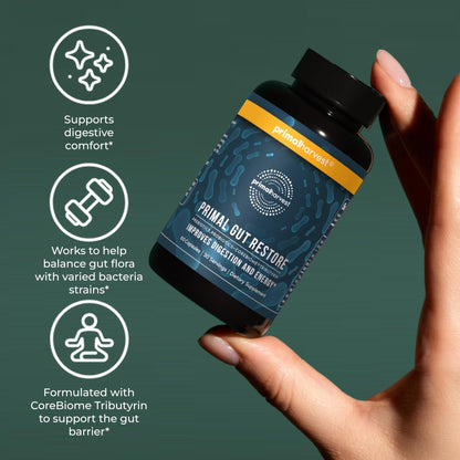 Primal Harvest 2 Pack, Restore for Gut Health, Primal Gut Restore w/POSTbiotics, PREbiotics and PRObiotics for Women and Men, 60 CT - Digestion, - Maple Wellness Supplements