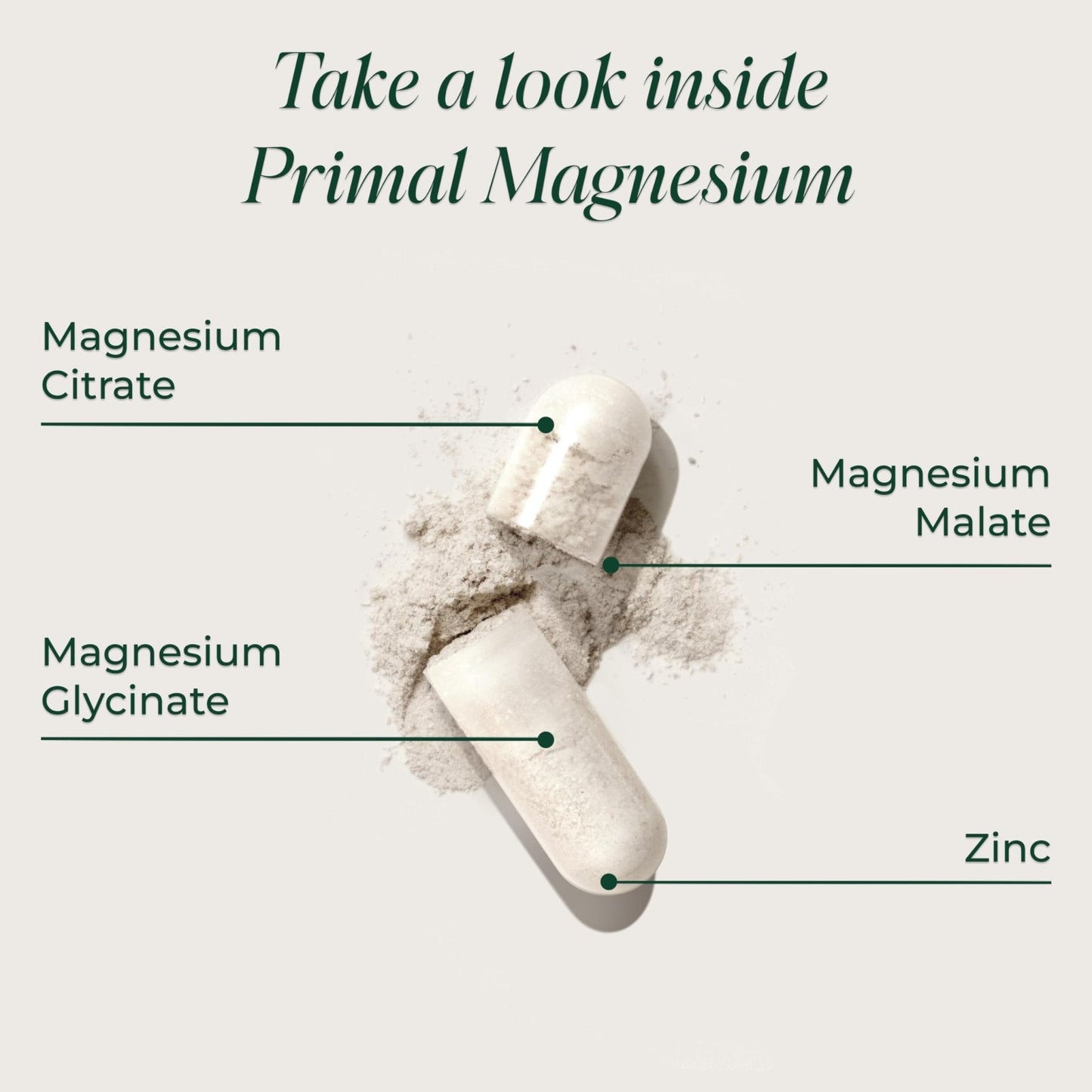 Primal Harvest Magnesium Supplement Complex 310mg by Primal Harvest with Magnesium Glycinate, Citrate, Malate, and Zinc 2 Pack, 240 Capsules - Maple Wellness Supplements