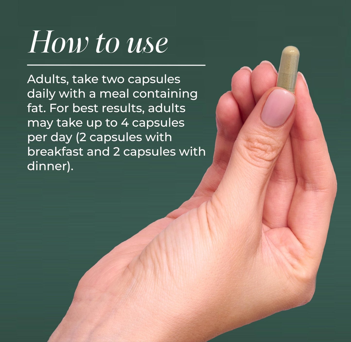 Primal Harvest NAD+ Supplement: Nicotinamide Riboside, Trans-Resveratrol, Betaine, CoQ10, NAD Supplements for Cellular Health, Energy, and Mitochondrial Support - Maple Wellness Supplements