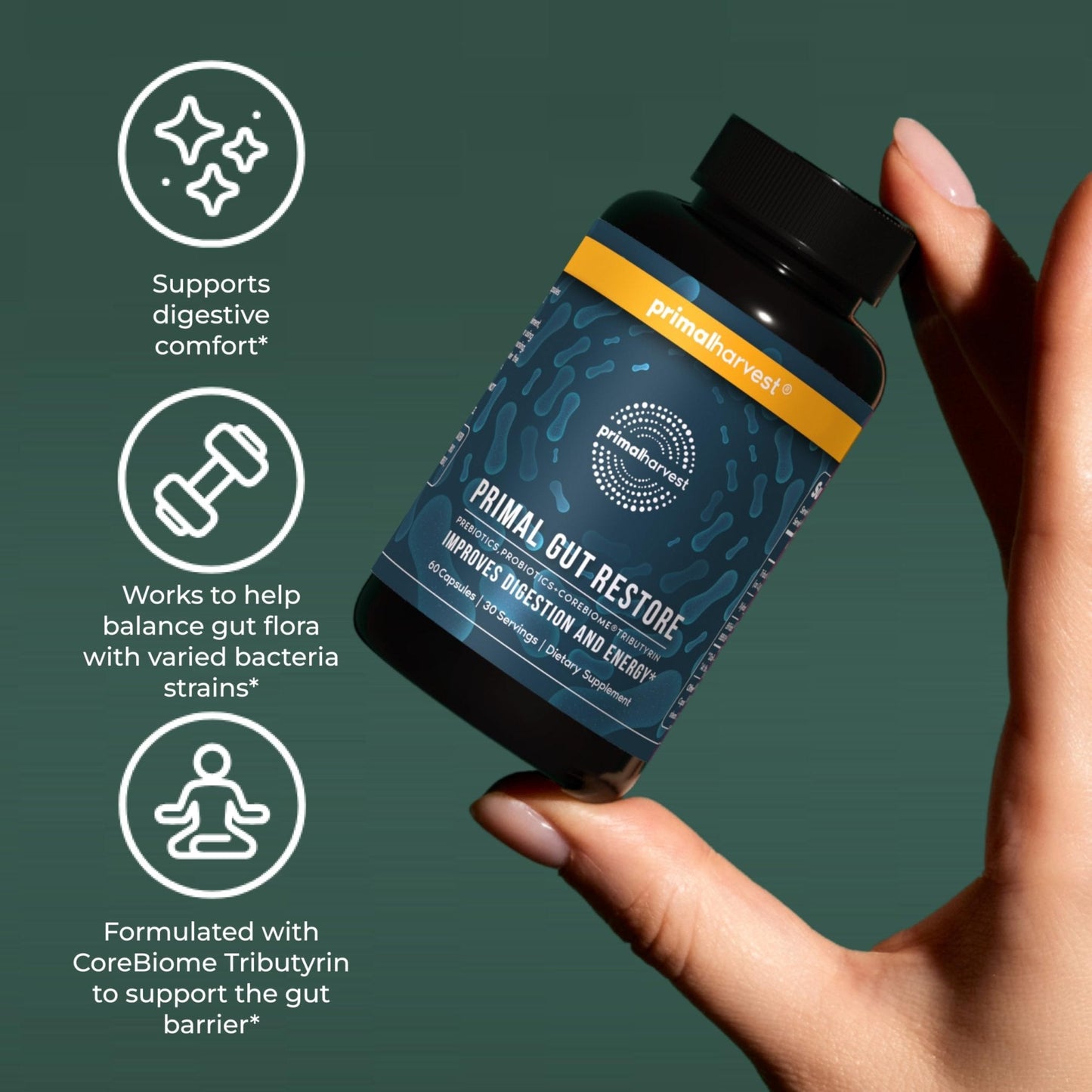 Primal Harvest Restore for Gut Health, Primal Gut Restore w/POSTbiotics, PREbiotics and PRObiotics for Women and Men, 60 CT - Digestion, Colon Cleanse, - Maple Wellness Supplements