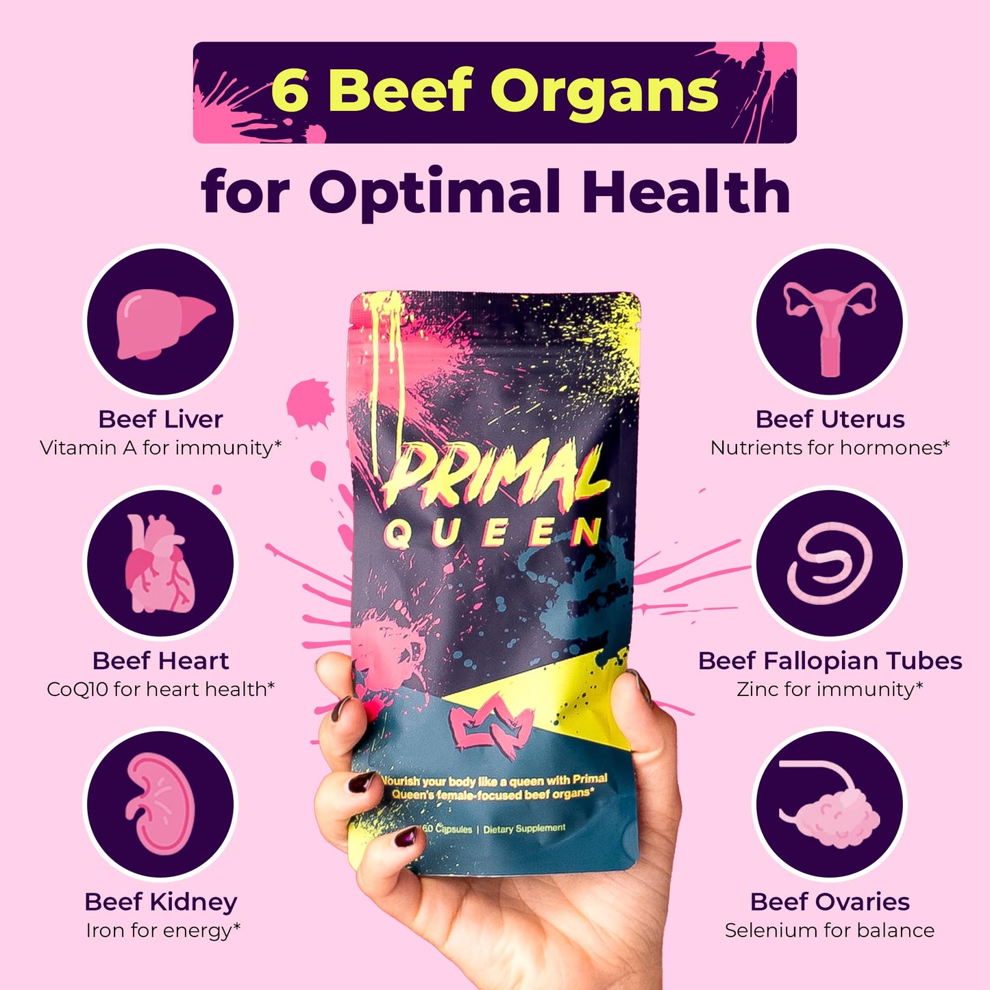 Primal Queen Female-Optimized Beef Organ Superfood Supplement (Beef Liver, Kidney, Heart, & 3 More) - 100% Grass Fed, Pasture Raised - 3rd Party & Clinically Tested - Maple Wellness Supplements
