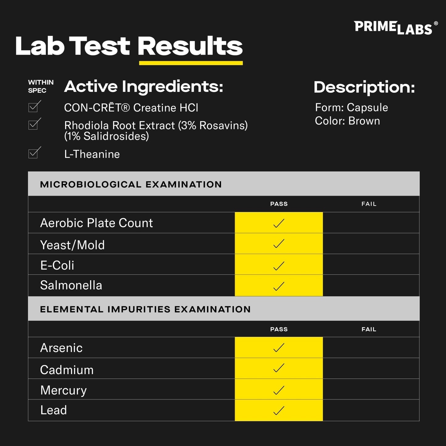 Prime Labs Creatine HCl Capsules - with CON-CRĒT®, Rhodiola Root Extract, & L-Theanine - Muscle Support, Endurance, Cognitive Function - for Men & Women - 60 Pills - Maple Wellness Supplements