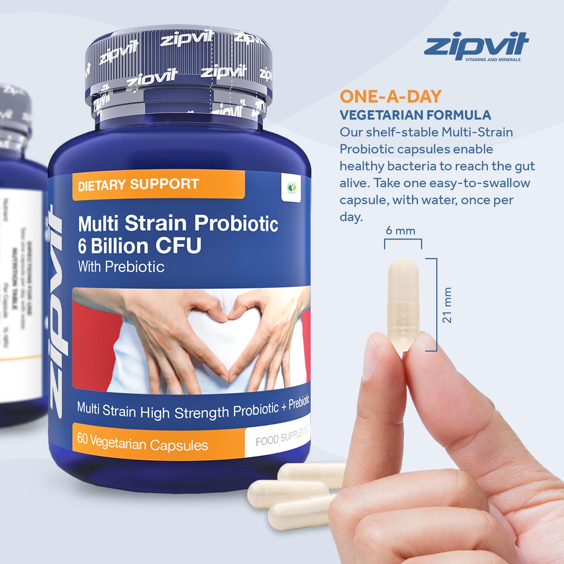 Probiotic 6 Billion Multi-Strain Live Bio Cultures Complex with Prebiotic, 60 Vegetarian - Maple Wellness Supplements