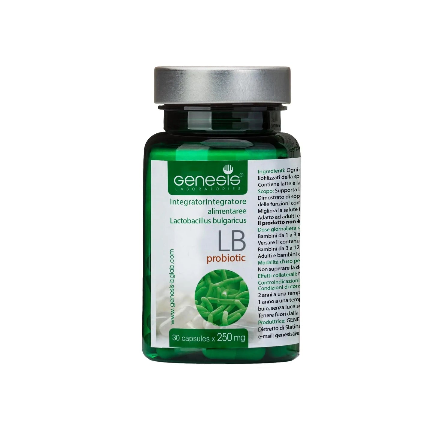 Probiotic Lactobacillus Supplement 30 Capsules with Lactobacillus Bulgaricus 250 mg Probiotic Digestive Immune Support Gut Health Probiotics for Digestive Health Anti Bloating - Maple Wellness Supplements