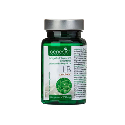 Probiotic Lactobacillus Supplement 30 Capsules with Lactobacillus Bulgaricus 250 mg Probiotic Digestive Immune Support Gut Health Probiotics for Digestive Health Anti Bloating - Maple Wellness Supplements