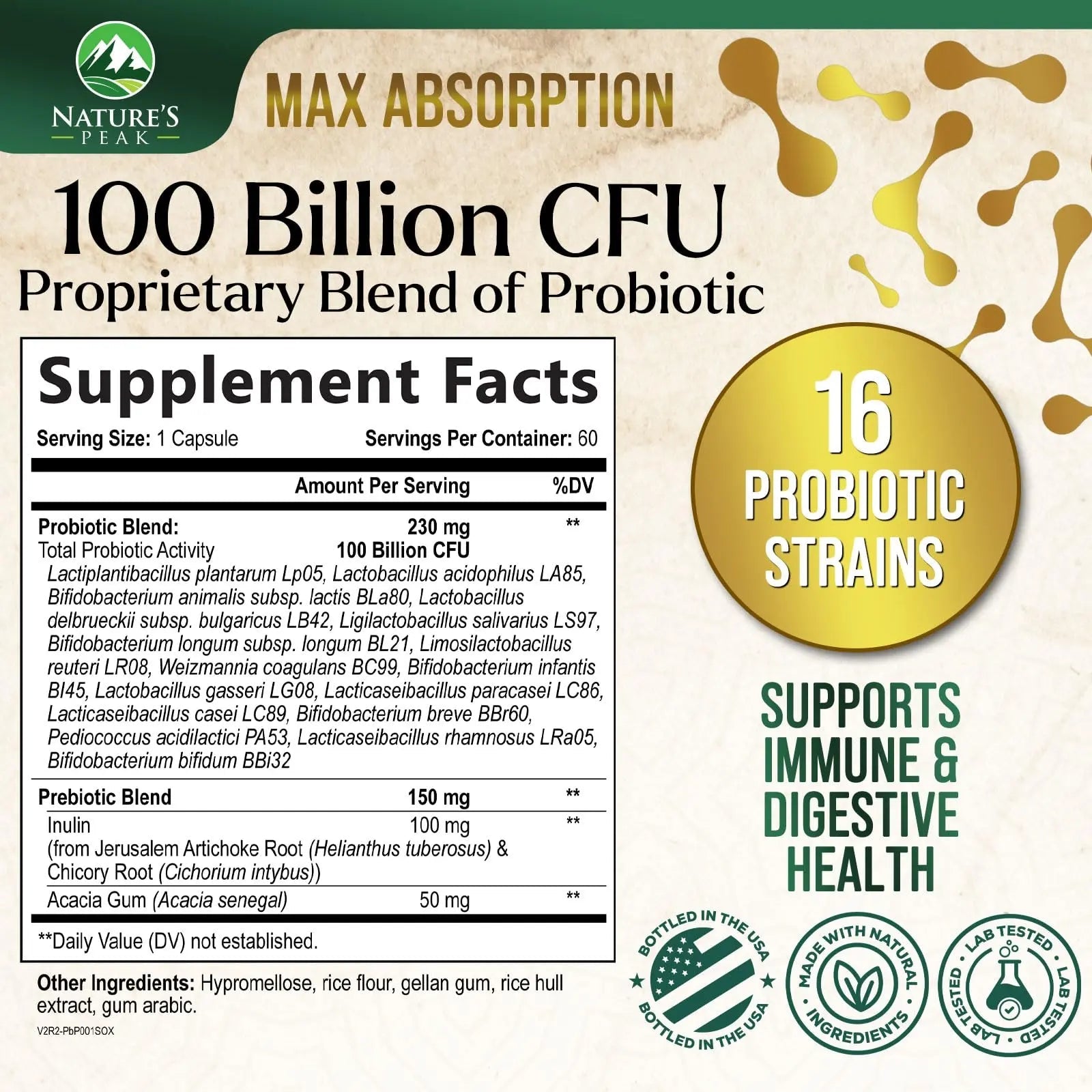 Probiotics 100 Billion CFU Per Serving - 16 Premium Probiotic Strains Prebiotics - Immune Support, Gut Health, Occasional Constipation, Gas & Bloating, Probiotics Supplement, USA Bottled, 60 Capsules - Maple Wellness Supplements