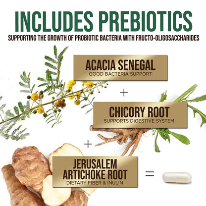 Probiotics 50 Billion CFU per Serving - 10 Strains + Prebiotics - Digestive Health, Gut & Immune Support - Occasional Constipation, Gas & Bloating Support for Women & Men, Bottled USA - 60 Capsules - Maple Wellness Supplements