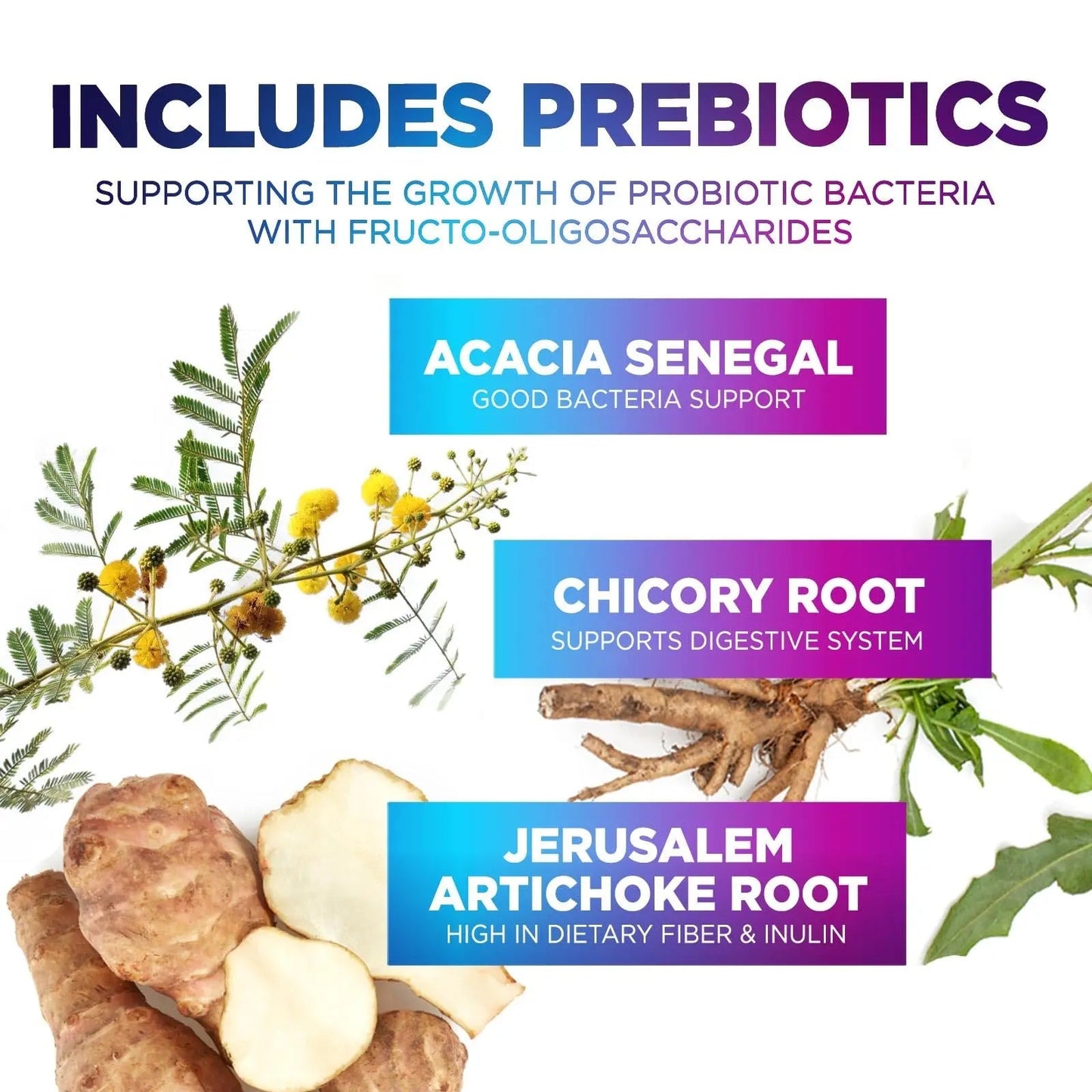Probiotics 60 Billion CFU - 10 Strains + Digestive Enzymes & Prebiotics - Best Probiotic for Women & Men, Supports Immune, Gut Health, Occasional Constipation, Diarrhea, Gas & Bloating - 60 Capsules - Maple Wellness Supplements