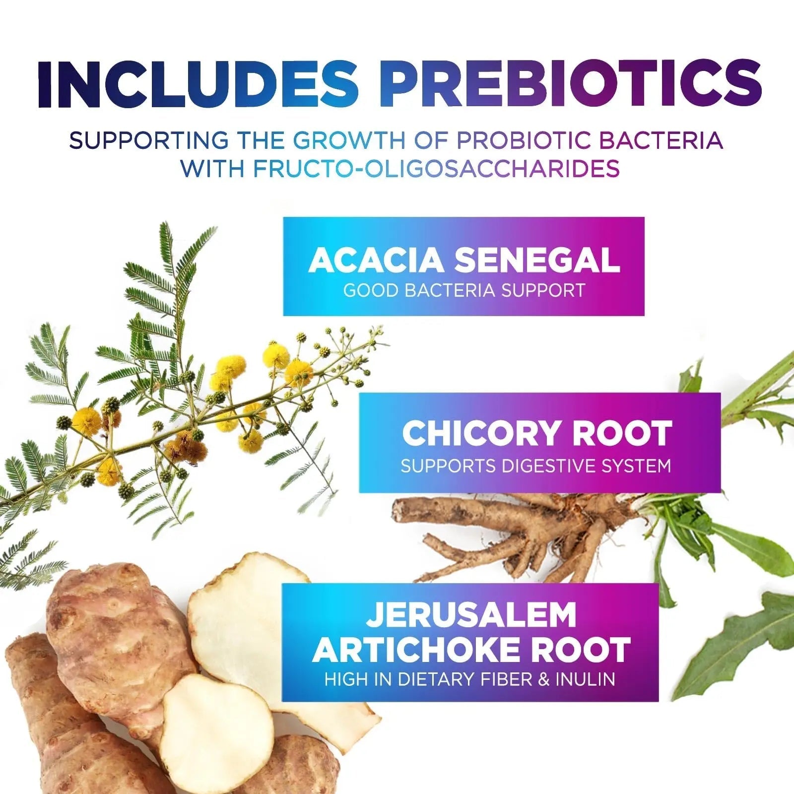 Probiotics 60 Billion CFU - 10 Strains + Digestive Enzymes & Prebiotics - Best Probiotic for Women & Men, Supports Immune, Gut Health, Occasional Constipation, Diarrhea, Gas & Bloating - 60 Capsules - Maple Wellness Supplements