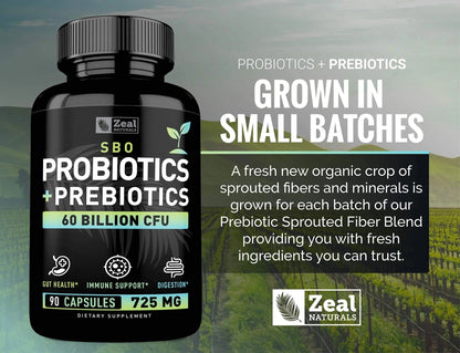 Probiotics and Prebiotics + SBO Probiotics (60 Billion CFU | 90 Capsules) Acidophilus Probiotic w. Saccharomyces Boulardii, Bifidobacterium + Spore Probiotic & Organic Sprouted Prebiotic Fiber Blend - Maple Wellness Supplements