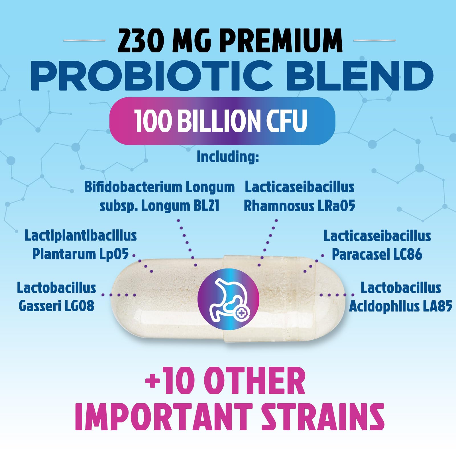 Probiotics for Digestive Gut Health - 100 Billion CFU Per Capsule, 16 Premium Strains & Prebiotics - Best Probiotics for Women & Men, Occasional Constipation - Maple Wellness Supplements