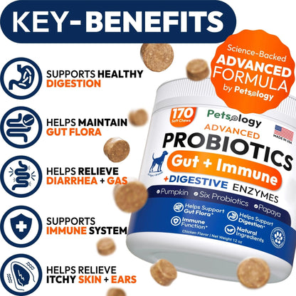 Probiotics for Dogs - 170 Dog Probiotics Chews - Digestive Enzymes & Prebiotics - Support Gut Health, Diarrhea, Gas & Constipation Relief - Itchy Skin, Allergies, Yeast Balance - Advanced Supplement - Maple Wellness Supplements