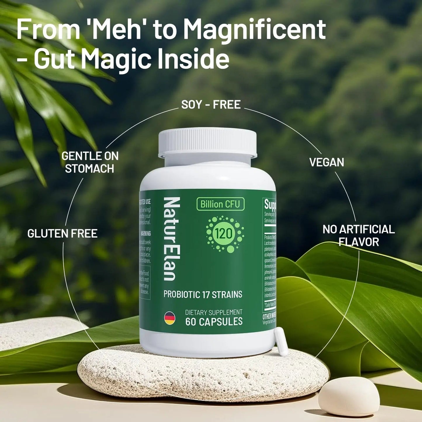 Probiotics for Women & Men - 120 Billion CFU, 17 Powerful Strains for Gut Health, Immunity & Fast Bloating Relief, Third - Party Tested, Non-GMO & Vegan Probiotics Formula for Digestive Health, 60 CT - Maple Wellness Supplements