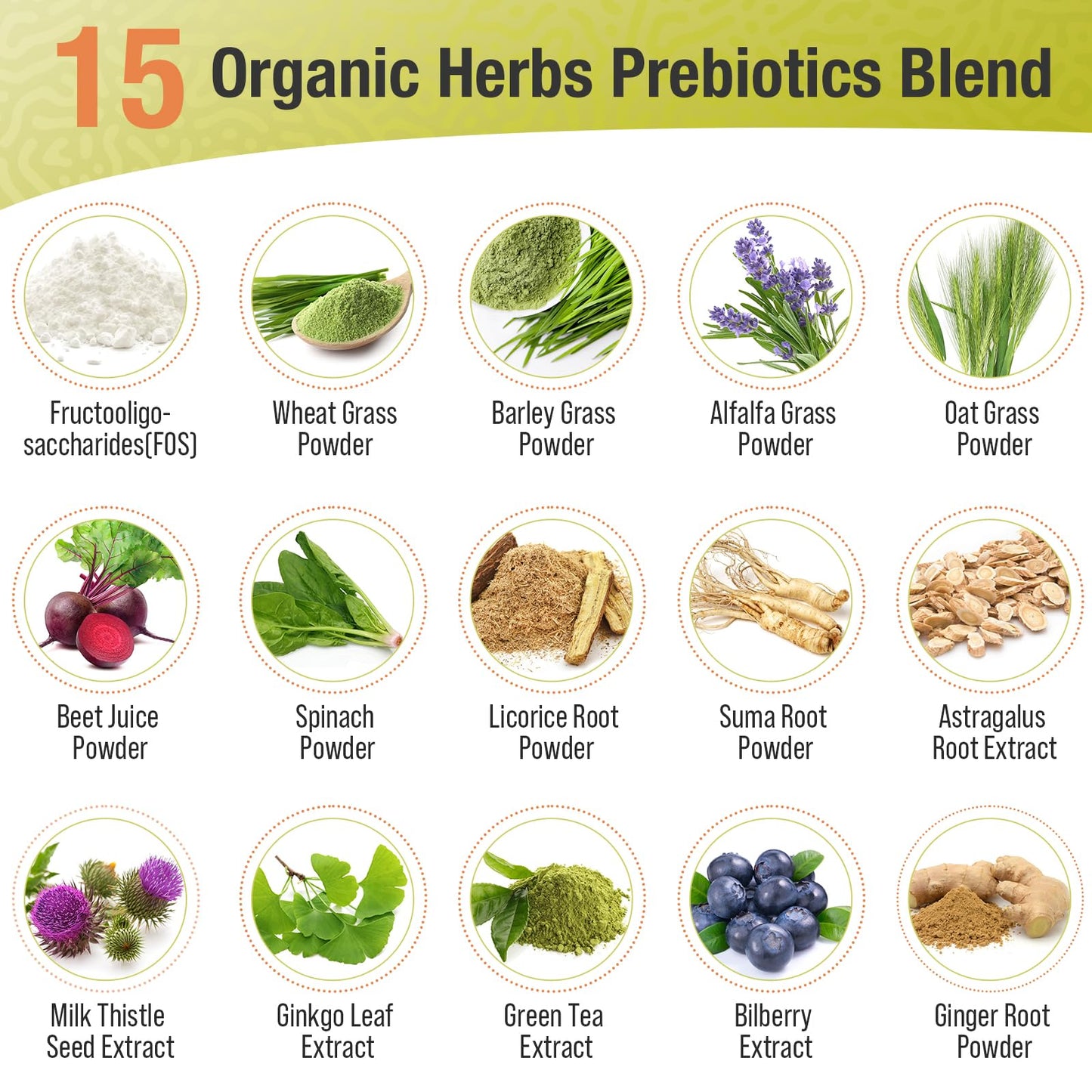 Probiotics for Women & Men - 300 Billion CFU, 24 Strains + 15 Organic Herbs Prebiotics Blend, Daily Probiotic for Digestive Health, Immune, Gut, Bloating - Maple Wellness Supplements