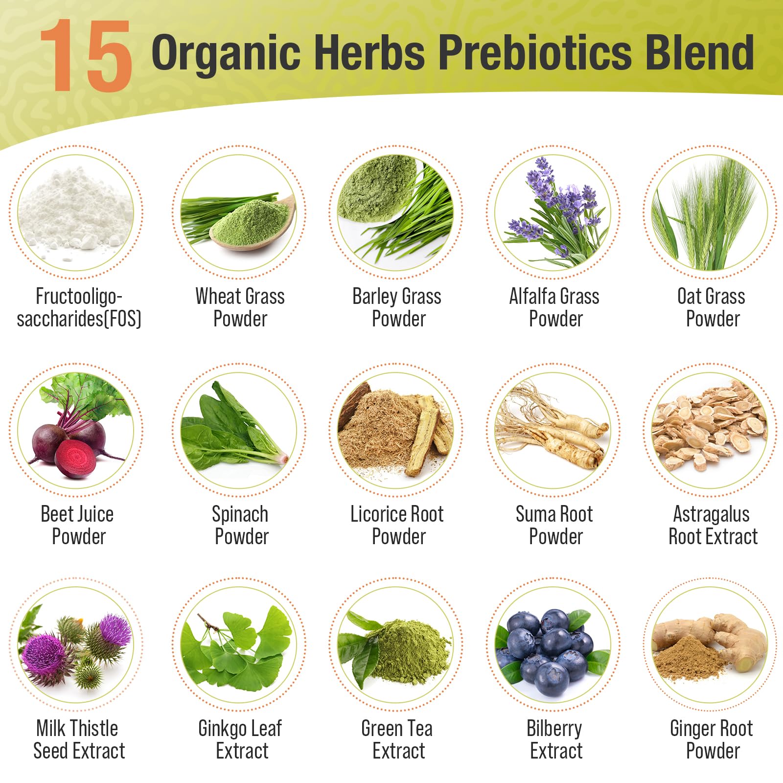 Probiotics for Women & Men - 300 Billion CFU, 24 Strains + 15 Organic Herbs Prebiotics Blend, Daily Probiotic for Digestive Health, Immune, Gut, Bloating - Maple Wellness Supplements