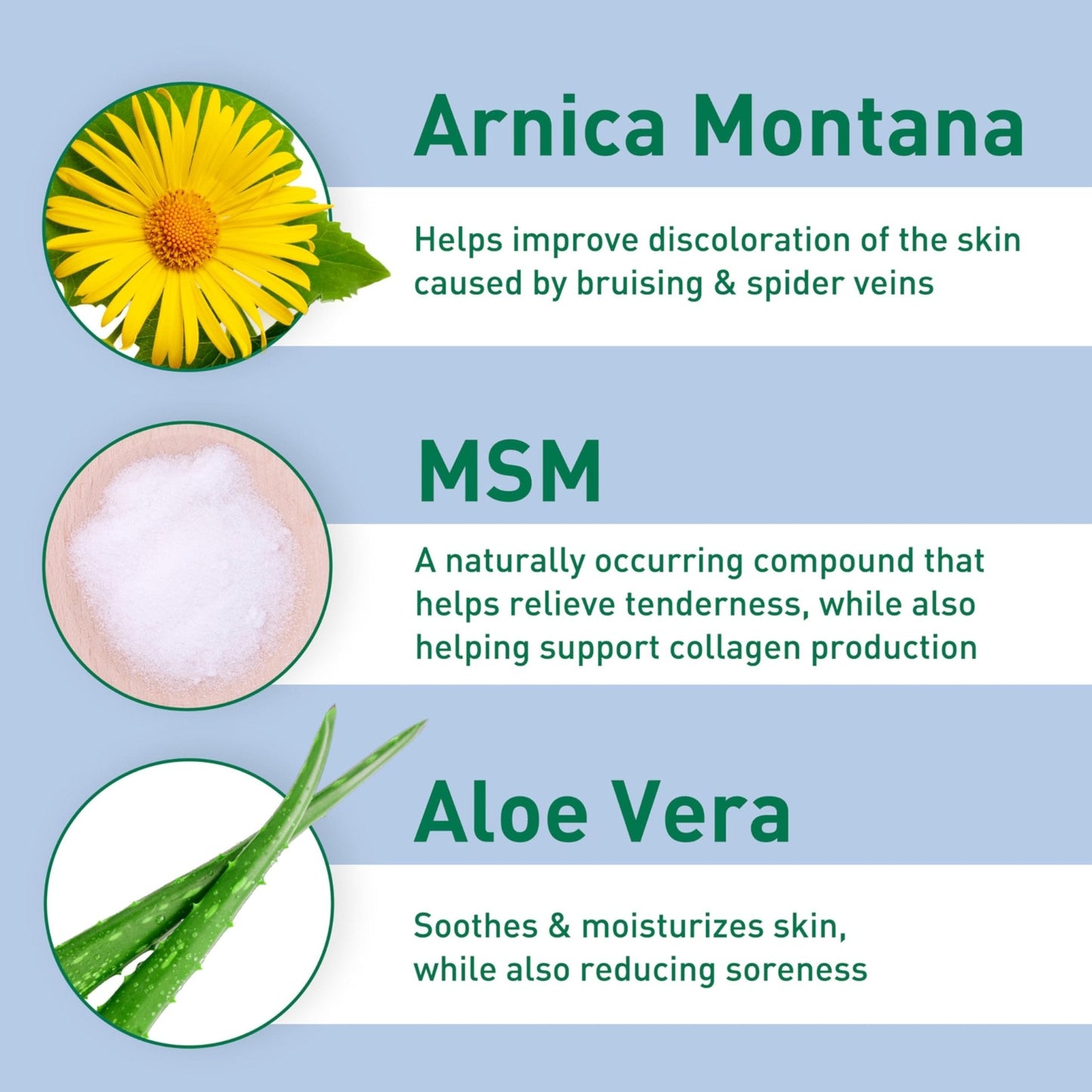 PROcure Arnica & MSM Bruise Remedy Gel – Paraben-Free, Unscented Arnica Montana Gel for Bruising, Spider Veins & Skin Discoloration – 2 Pack - Maple Wellness Supplements