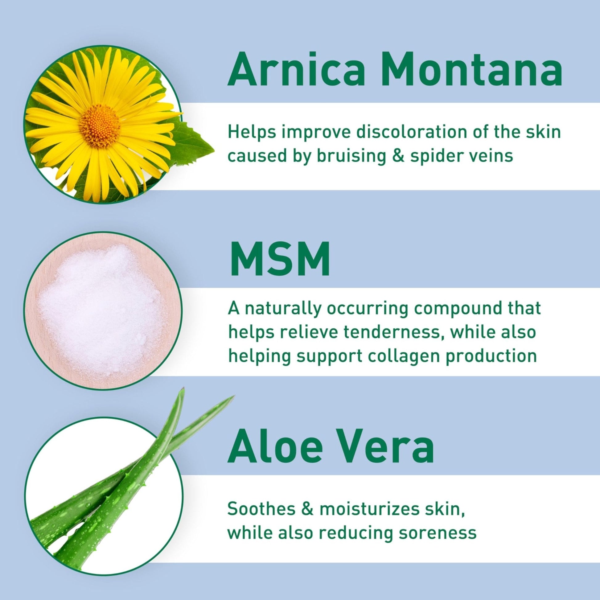 PROcure Arnica & MSM Bruise Remedy Gel – Paraben-Free, Unscented Arnica Montana Gel for Bruising, Spider Veins & Skin Discoloration – 2 Pack - Maple Wellness Supplements