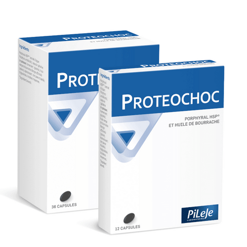 PROTEOCHOC capsules - PILEJE - Maple Wellness Supplements