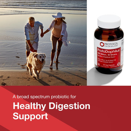 PROTOCOL FOR LIFE BALANCE Proto Dophilus 100 Billion 10 Strains - Support Digestive Gut Health Immune System & Detox - Dairy, Wheat, Soy & Gluten Free - Vegan & Nut Free - 30 Veg Capsules - Maple Wellness Supplements