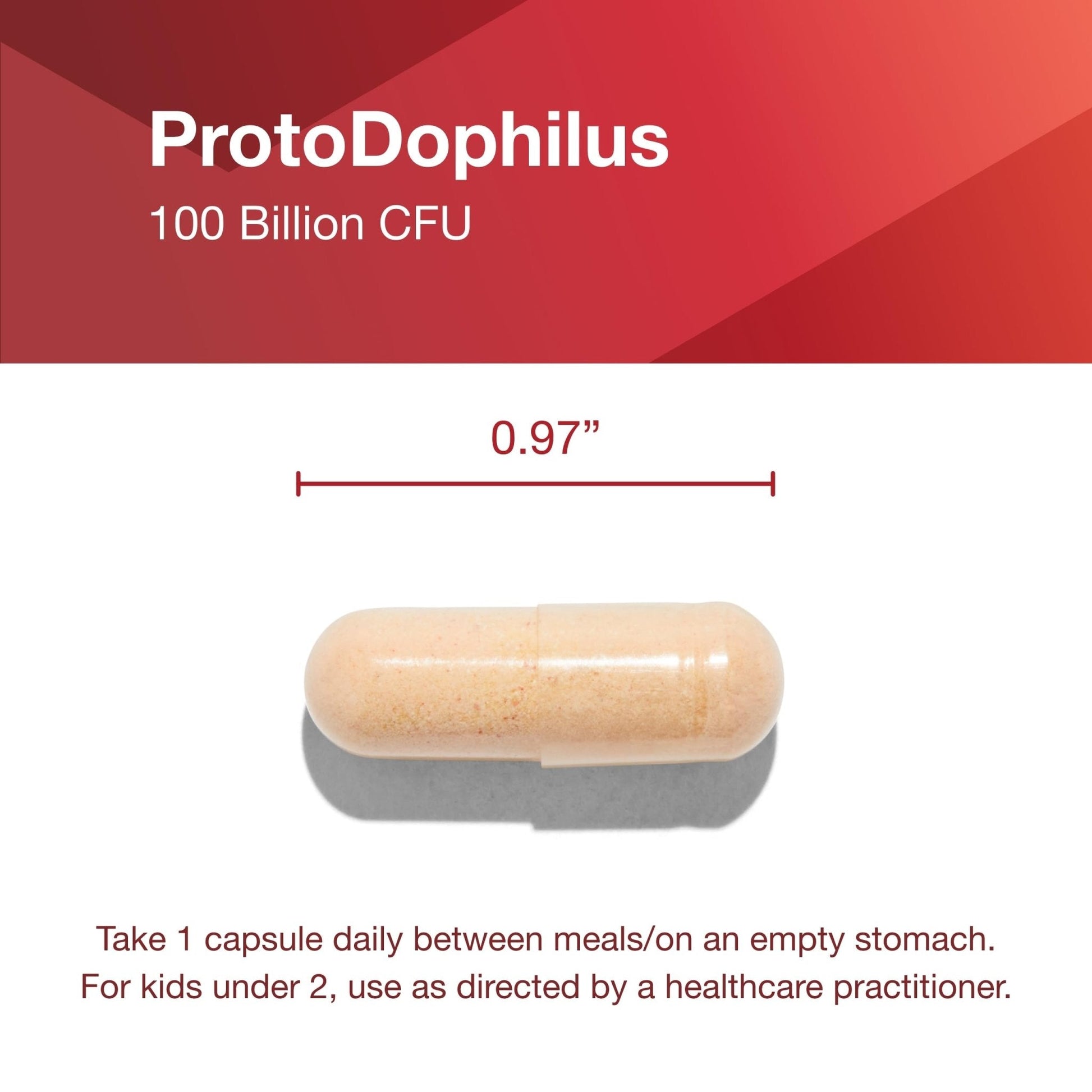 PROTOCOL FOR LIFE BALANCE Proto Dophilus 100 Billion 10 Strains - Support Digestive Gut Health Immune System & Detox - Dairy, Wheat, Soy & Gluten Free - Vegan & Nut Free - 30 Veg Capsules - Maple Wellness Supplements