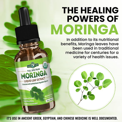 PURA VIDA MORINGA Leaf Extract Liquid Drops - USDA Organic Certified - Highly Purified, Bioavailable & Faster Absorption than Moringa Powder or Capsules - Maple Wellness Supplements