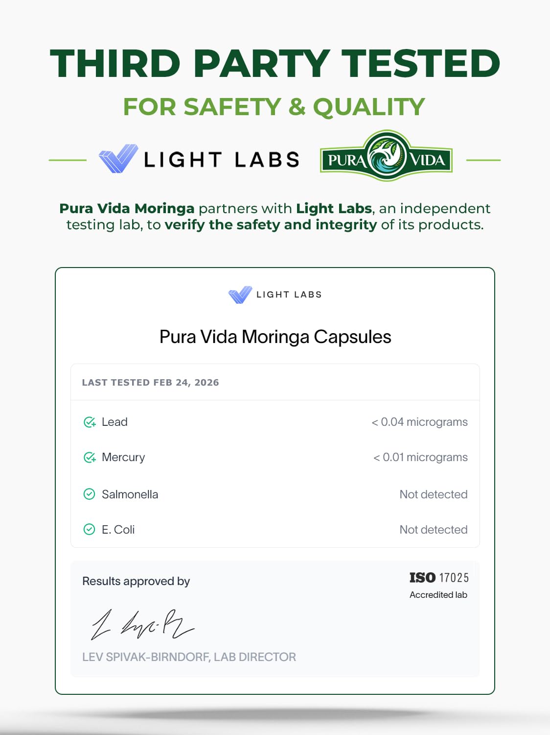 PURA VIDA MORINGA Leaf Extract Liquid Drops - USDA Organic Certified - Highly Purified, Bioavailable & Faster Absorption than Moringa Powder or Capsules - Maple Wellness Supplements