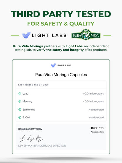 PURA VIDA MORINGA Leaf Extract Liquid Drops - USDA Organic Certified - Highly Purified, Bioavailable & Faster Absorption than Moringa Powder or Capsules - Maple Wellness Supplements