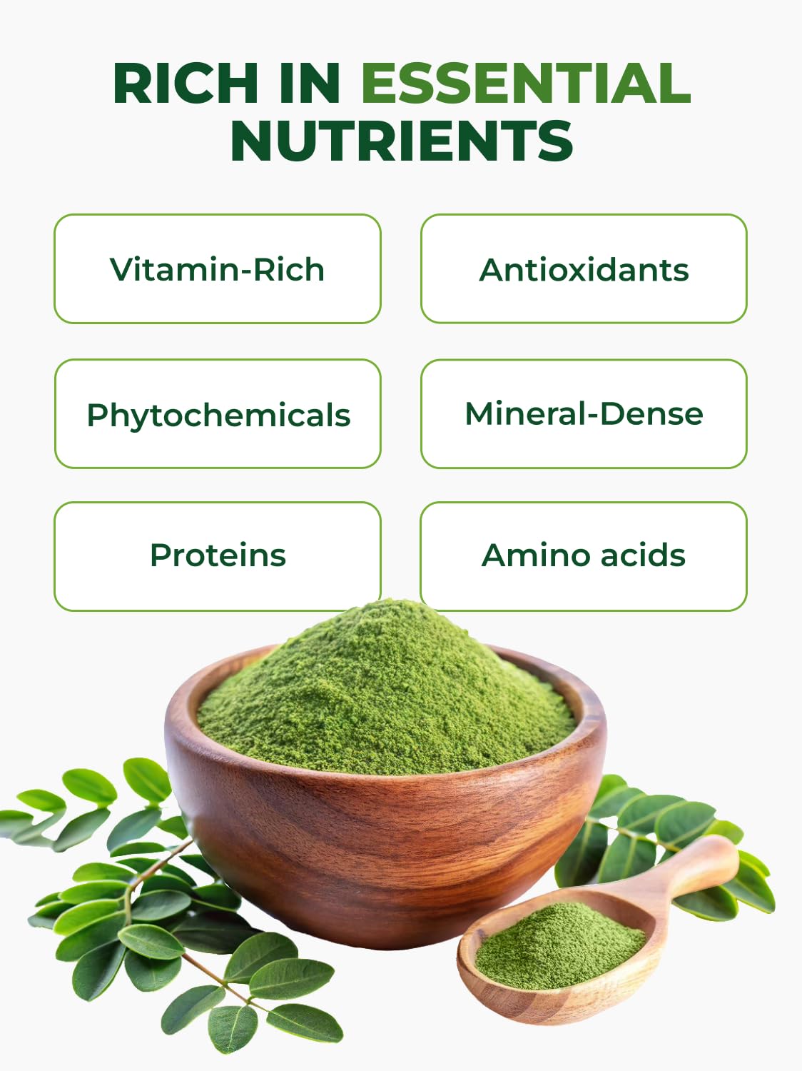 PURA VIDA MORINGA Organic Moringa Powder, Premium 100% Leaf Powder Single Origin - USDA Organic Moringa Oleifera Leaf - Maple Wellness Supplements