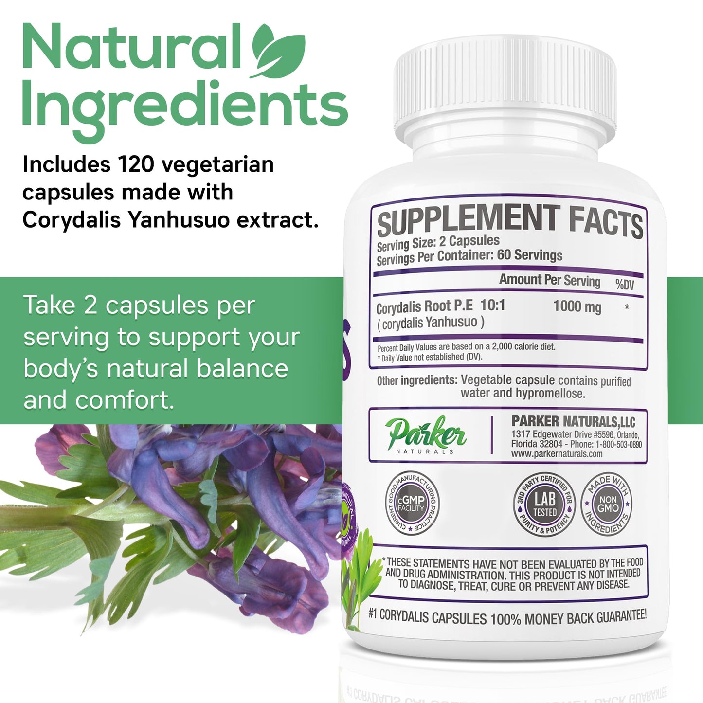 Pure Corydalis Root Extract Capsule - 1000mg Strength, 10:1 Corydalis Yanhusuo Extract, Natural Relief, Long Lasting, 100% Vegetarian, 60 Servings, 120 Count - Maple Wellness Supplements